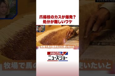 爪楊枝のカスが爆発？ 処分が難しいワケ #ABEMA的ニュースショー #Shorts