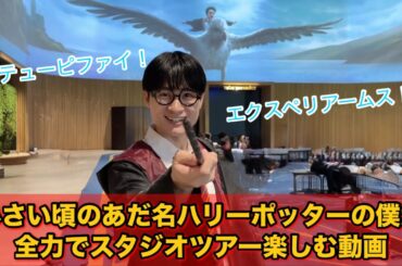 ハリポタツアー【ハリーと行く】ハリーポッタースタジオツアー東京/としまえん/TOKYO/JAPAN