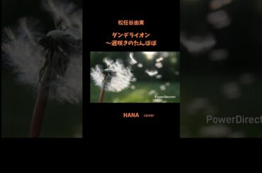 #ダンデライオン〜遅咲きのたんぽぽ#松任谷由実 #原田知世#JUJU#上白石萌音#德永英明#堀ちえみ#安達祐実#昭和の名曲#懐メロ#昭和の歌謡曲#cover