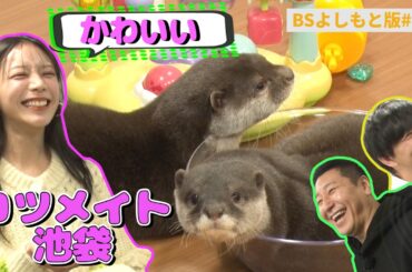 【BS版#69　貴島明日香と都内ドライブ】カワウソにメロメロで癒やされMAX❤️　Volvo EX30 Cross Country