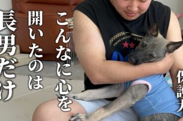 【保護犬】家族以外で初めて心を許したのは、長男でした