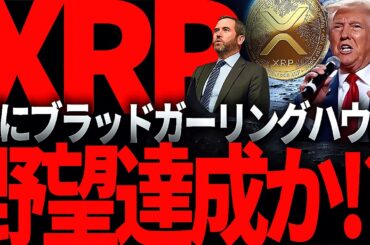 リップル重要情報!!XRPが遂にSWIFT乗っ取り達成か！？ブラッドガーリングハウスCEOもほくそ笑む、送金業界に潜むその理由とは!?#仮想通貨#リップル#暗号資産#XRP