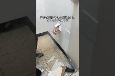 なんでやねん。#y2kコーデ #ファッション #ストリートコーデ #ストリートスタイル #ストリート系男子 #メンズ服 #メンズファッション #メンズコーデ