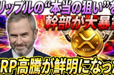 Rippleの“本当の狙い”がリップル幹部により明らかとなった...#xrp #リップル #暗号通貨
