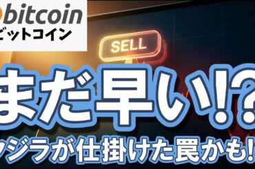 仮想通貨 ビットコイン】「底打ちだ」と騒ぐにはまだ早い！今回の反発はクジラが仕掛ける罠かも！？（朝活2122）
