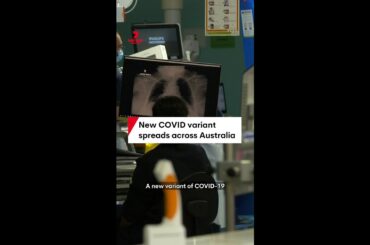 New COVID variant 'Cicada' spreads across Australia