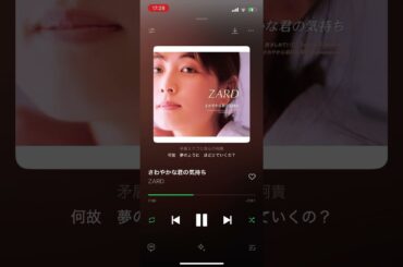好きな曲。#zard #坂井泉水