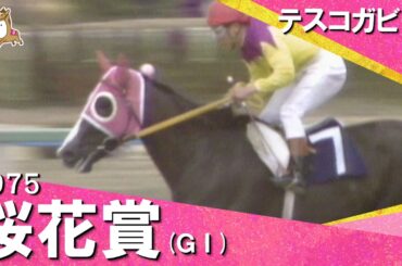 「後ろからは何も来ない！恐れ入った！」1975年 桜花賞 (ＧⅠ) テスコガビー　実況：杉本清【カンテレ公式】