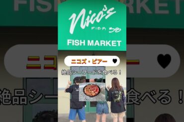 【ハワイ】どこでもプライベートツアー・1月6日 I様 #カワイイハワイツアー #ハワイツアー#ハワイチャーターツアー #アウトドア #旅行