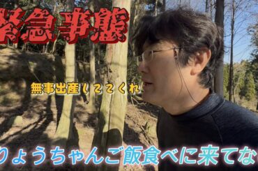 【緊急速報】りょうちゃんがご飯に来ない。ついに産まれる？牛舎から姿を消した母牛を必死に探した結果……。