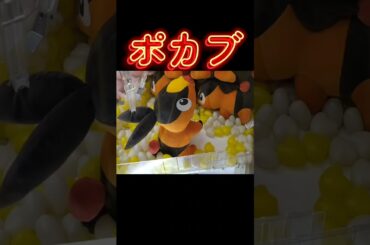 #クレーンゲーム #攻略 #ポケモン #ポケモン30周年 #ポカブ