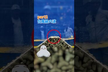 「もしも15m級の津波が来たら、どうなる…？」“波の発生”を巨大実験装置で解説／日本有数の研究施設を大公開