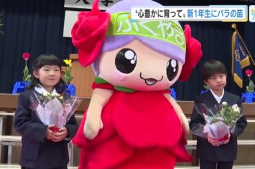 "ローラ"ちゃんが新１年生にバラの苗プレゼント　「ばらのまち」福山市の小学校入学式 (2026/04/09 17:53)