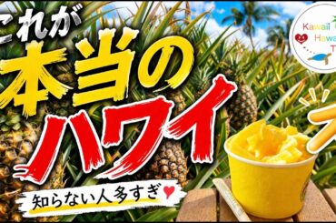 観光客が知らない本当のハワイ・どこでもプライベートツアー
