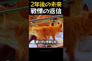 2年後の未来戦慄の返信