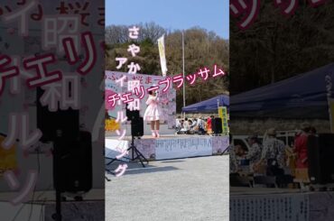 名曲【チェリーブラッサム】 #さやか昭和アイドルソング #松田聖子