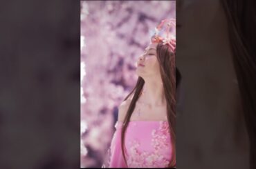 倉木麻衣「TOWA 〜永久に風に乗る〜」4/17 配信リリース！ #名探偵コナン #倉木麻衣 #桜