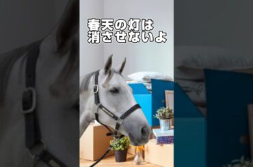 『ゴルシも勝った天皇賞春の灯』