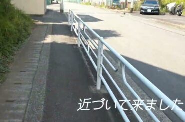 【東京都つくし野〜神奈川県横浜市】ZARDの坂井泉水さんのお墓参りをしました