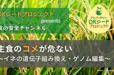 オンライン学習会「主食のコメが危ない 〜イネの遺伝子組み換え・ゲノム編集〜」