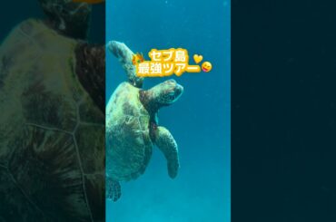 人気スポットを1日で回れるツアー🫶🏻 #セブ島 #フィリピン #セブ島旅行 #セブ #海外旅行