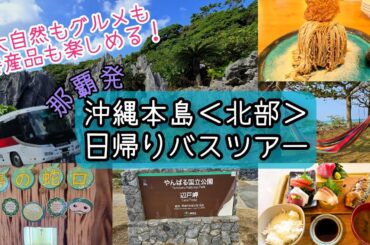 【一人旅】＜那覇から日帰りバスツアー＞沖縄北部やんばるエリアへの旅