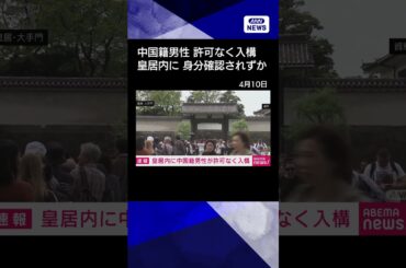 【ニュース】皇居内に中国籍の男性が許可なく入構　通勤時間帯で身分確認されずか #shorts