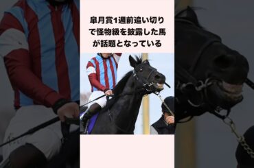 皐月賞1週前追い切りで怪物級を披露した馬が話題となっている #競馬 #競馬予想 #shorts