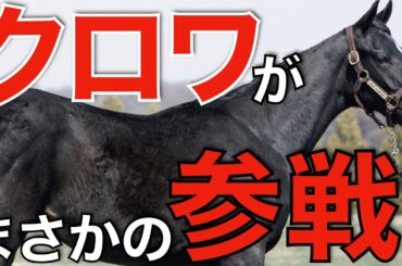 天皇賞春に価値はあった！？最強馬クロワデュノールがまさかの参戦へ。