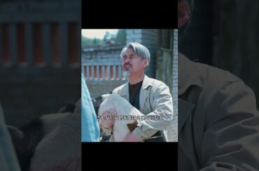 #film #movie #影視解説 #映画 #映画解説