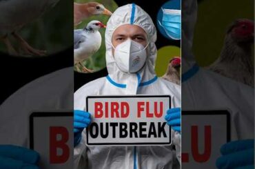 Bird Flu Outbreak | California and Louisiana in State of Emergency | Symptoms & H5N1 Explained!
