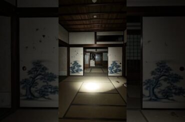 誰かいる #怪現象 #心霊映像 #恐怖 #心霊動画 #心霊スポット