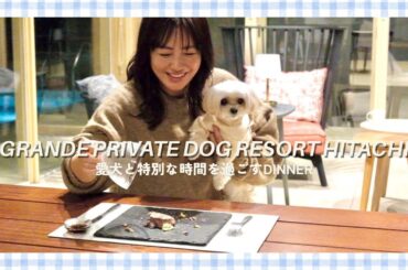 愛犬と泊まれる宿食事Ver.