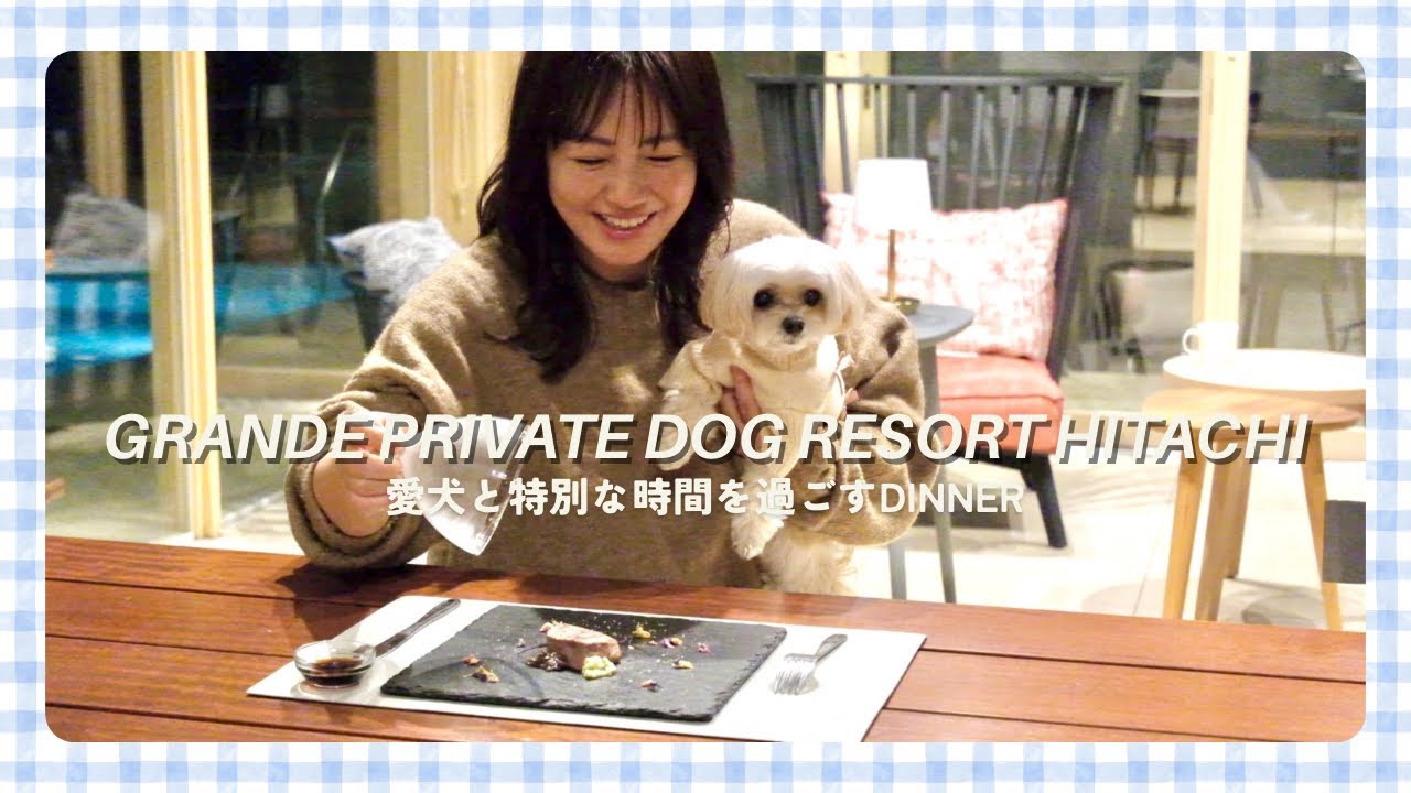 愛犬と泊まれる宿食事Ver. 愛犬と泊まれる宿食事Ver.