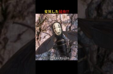 誰もが逃げる！？変異したシスターのような昆虫の正体とは？