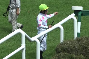 【現地】マテンロウゲイルで落馬した後プレスの人達に何かを注意している横山典弘騎手 【阪神競馬場】