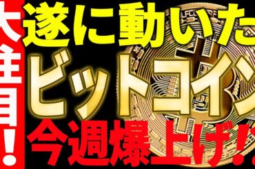 🚀ビットコインが遂に動いた🚀今週爆上げなのか⁉大注目です！【仮想通貨】