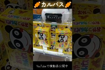 #クレーンゲーム #攻略 #ドミノ置き #カルパス #買うより安い