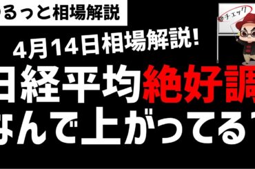 【4月14日のゆるっと相場解説】日経平均株価は絶好調！なんでこんなに株価上昇しているの？ズボラ株投資