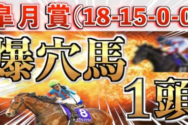 【皐月賞2026 予想】先週も3頭パーフェクト㊗️想定8番人気の大穴＋鉄板馬を狙い撃つ！【競馬予想】