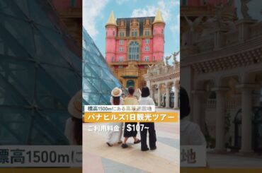 【ダナン現地ツアー】ホイアン・バナヒルズ・フエまで全部行ける！日本語OKのDanang Holic