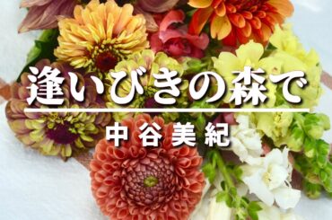 中谷美紀／逢いびきの森で