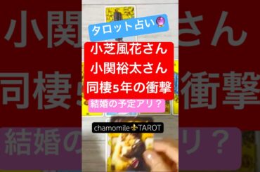 #小芝風花 #小関裕太 #占い #タロット #shorts #恋愛
