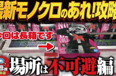 【クレーンゲーム】最新モノクロのあれ！とか新景品！攻略！回遊館岐阜店！