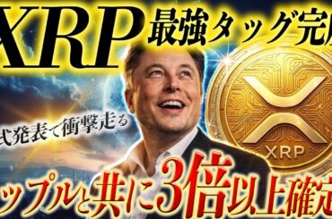 《リップル最新情報》⚠️ソラナ公式がリップル1000ドルは余裕と明言‼️XRP急上昇目前‼️