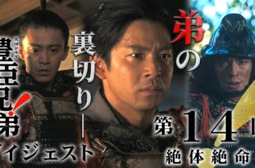 【大河ドラマ 豊臣兄弟！】第14回ダイジェスト「絶体絶命！」| NHK