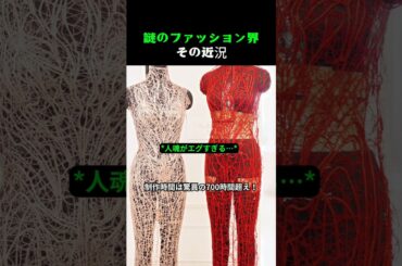 謎のファッション界その近況