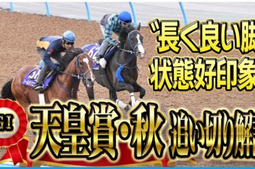 【天皇賞・秋２０２５】マスカレードボールより手応えアリ！？各出走馬の追い切りを東西記者が徹底解説！《東スポ競馬》