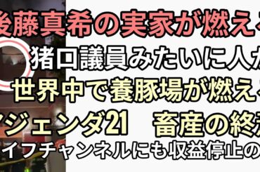 後藤真希の実家が燃える　猪口議員みたいに人影　世界中で養豚場が燃える2030年ミッションゴール畜産の終焉　カイフチャンネルにも収益停止の波