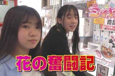 クレーンゲーム攻略奮闘記♪ 花の妖精たちは意地と根性で難解クレーンゲームの攻略に挑みました！ さぁ～結果は如何に？